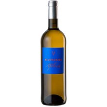 Quinta Apolonia Magnum