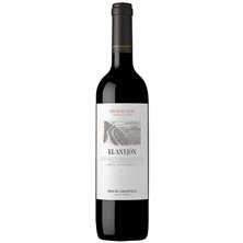 Anejón Magnum