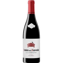 Dominio de la Bienvenida La Fortuna