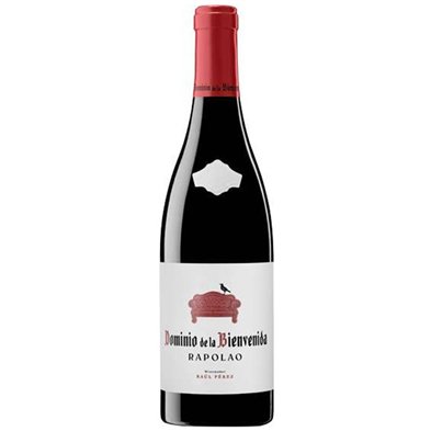 Dominio de la Bienvenida Rapolao