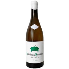 Dominio de la Bienvenida Ruliña