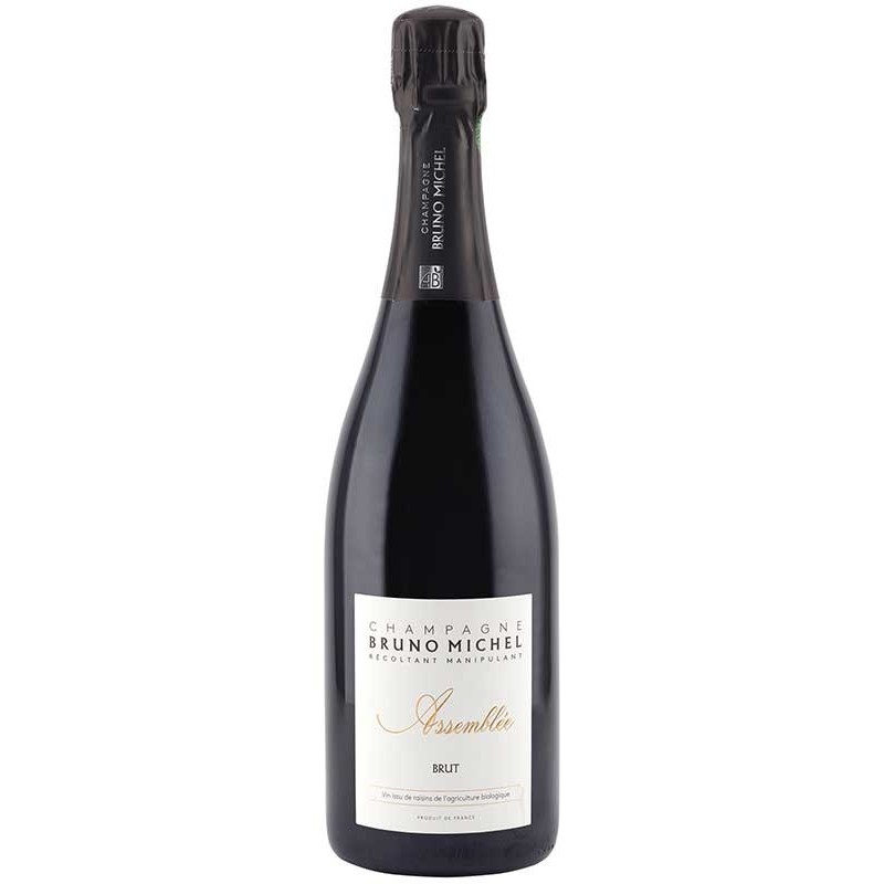 Bruno Michel Assemblée Brut