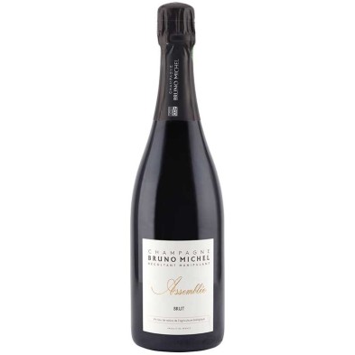 Bruno Michel Assemblée Brut