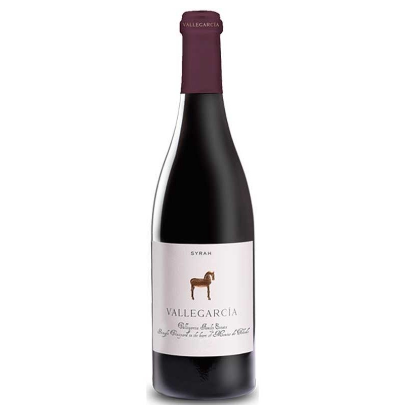 Vallegarcía Syrah