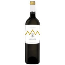 Silvanus Crianza
