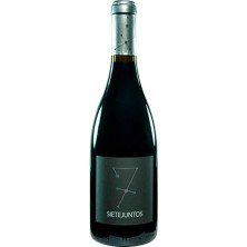 Sietejuntos Merlot